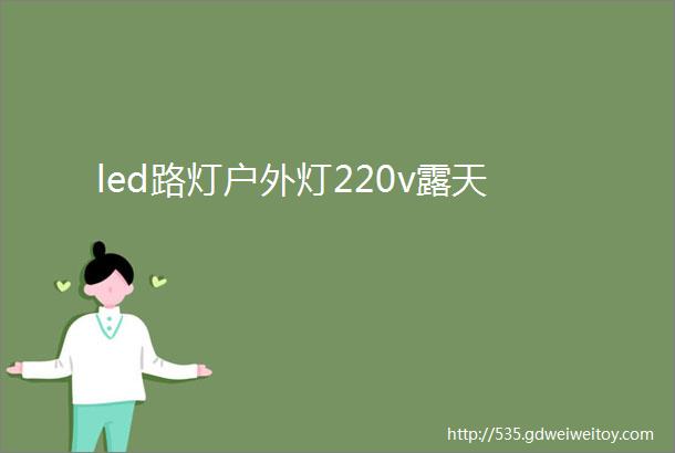 led路灯户外灯220v露天